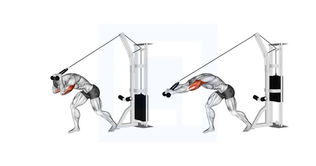 Cable Rope Overhead Tricep Extension