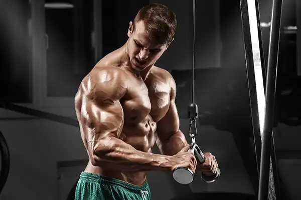 Comprehensive Long Head Tricep Exercises Routine for Stronger Arms